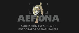 Asociacion Española de Fotografia de Naturaleza
