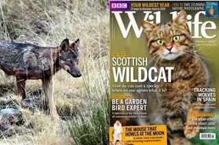 AEFONA con Wild Watching - El Lobo en el Norte de España