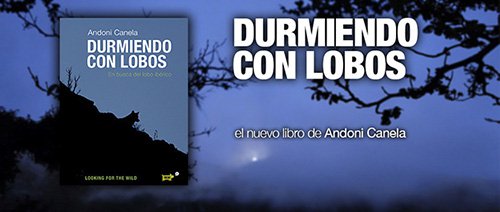 Duermiendo con Lobos - Andoni Candela