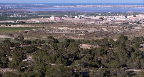 Pla Nulo en San Miguel de las Salinas por el Tribunal Superior de Justicia