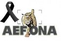 In Memoriam - Angel Tomas Monzon - AEFONA