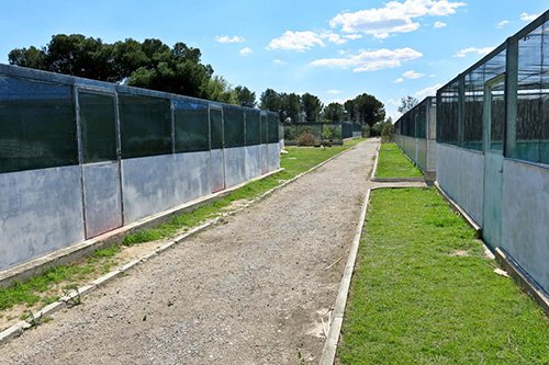 Centro de Recuperacion de Fauna en Saler - Comunitat Valenciana - AEFONA