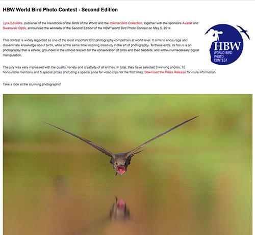 Mencion de Honor a Oscar Diez en la segunda edición del HBW Concurso de Fotografía de Aves - AEFONA