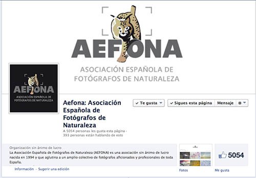 Mas de 5000 Seguidores en Facebook - AEFONA