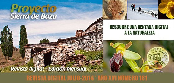 revistaproyectobaza