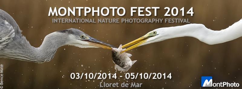 Montphoto Festival 2014 - AEFONA