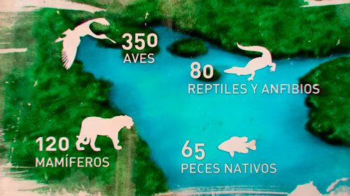 Rios Libres - Mexico - AEFONA