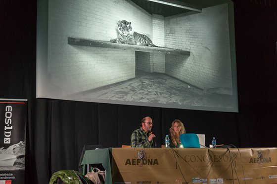 Marcos Gabarrón traduciendo la ponencia de Britta Jaschinski. Foto: Rolando Gil