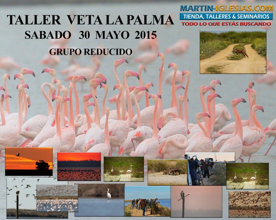 TallerVetaLaPalma2015