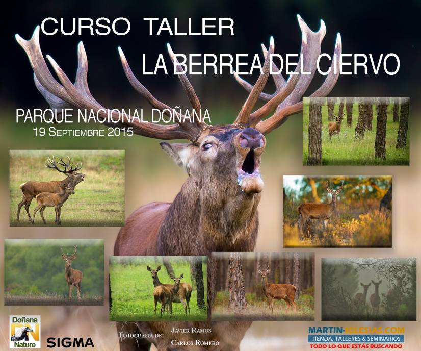 curso-taller-BerreaCierco2015-fotografos