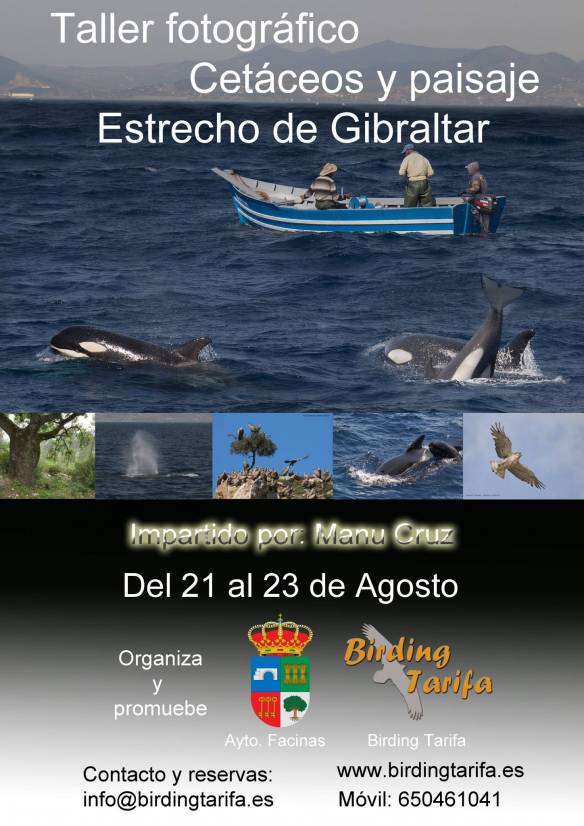 cartel