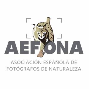 LOGO AEFONA