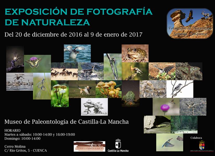 Exposición de fotografía de naturaleza de Cuenca