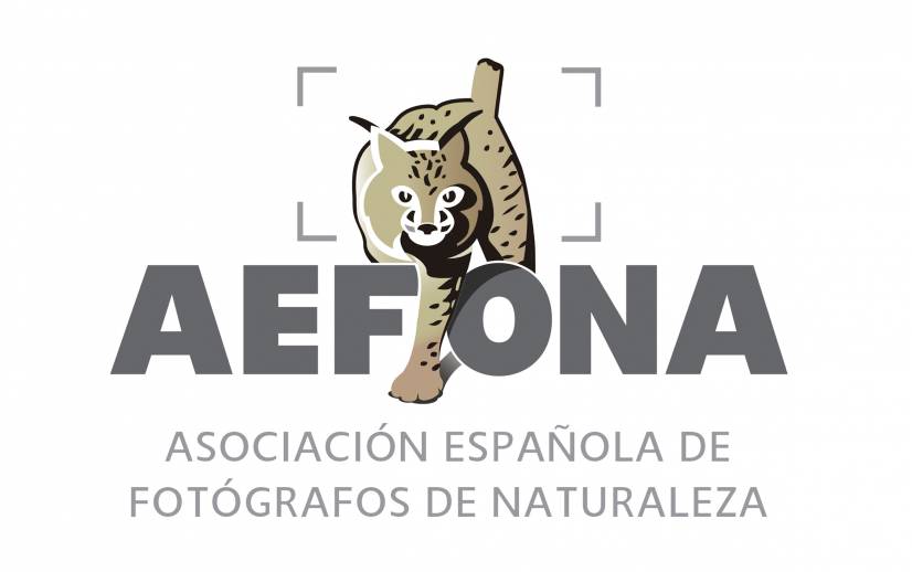 LOGO AEFONA