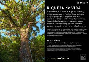 info-biodiversidad-01