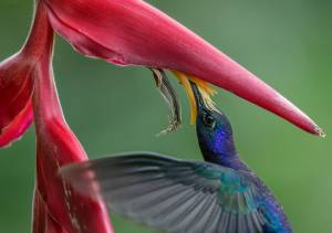 -®JorgeSilva_SR_7323-UHDTV4K