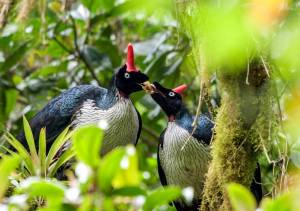 -®LuisFRiveraLezama_DSC0173-UHDTV4K