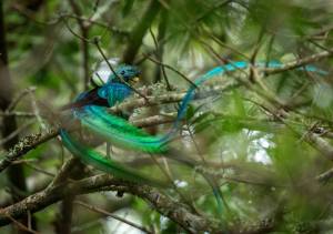 -®SErgioP_DSC0187-UHDTV4K