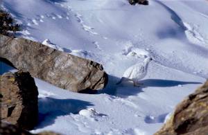 38882861_1653647128096384_6700022469203329024_o