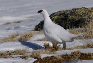 38894228_1653647378096359_715425222324387840_o