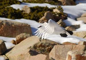 38894688_1653647551429675_7193142434849619968_n