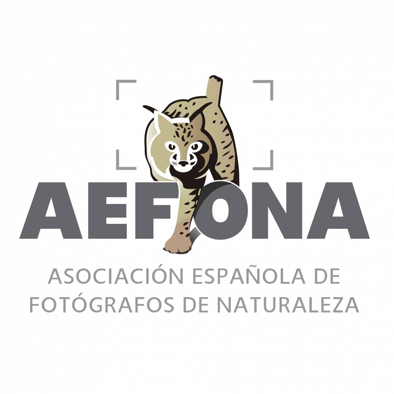 LOGO_AEFONA_cuadrado-Alta