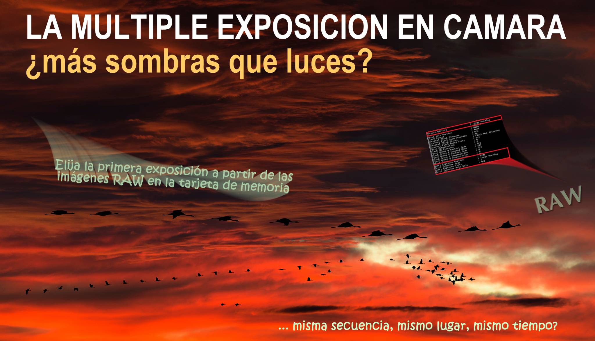 Multiexpo