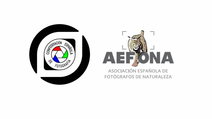 Acuerdo CEF y AEFONA_JPEG.001