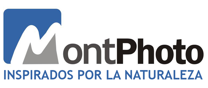 Logo MontPhoto