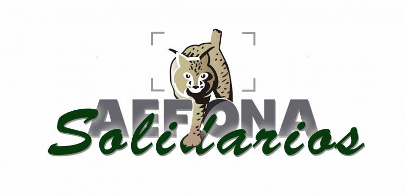 LOGO AEFONA Solidarios