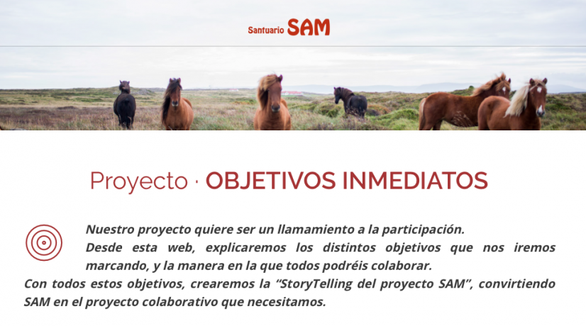 PROYECTO SAM