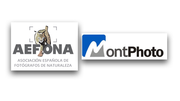 Logotipo AEFONA_MontPhoto