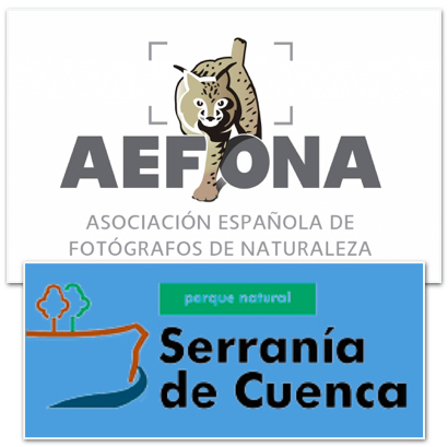 Logotipo Quedada Cuenca_2.001