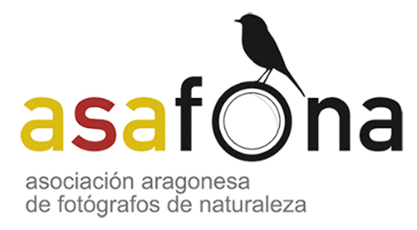 logo-asafona-p