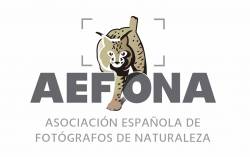 logoaefona