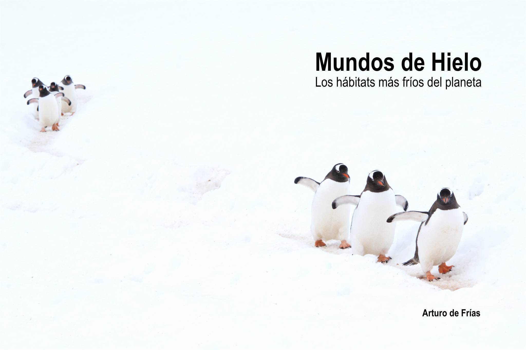 mundos-de-hielo-portada