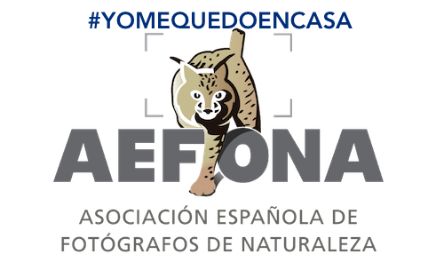 Logo-Aefona-Cuarentena