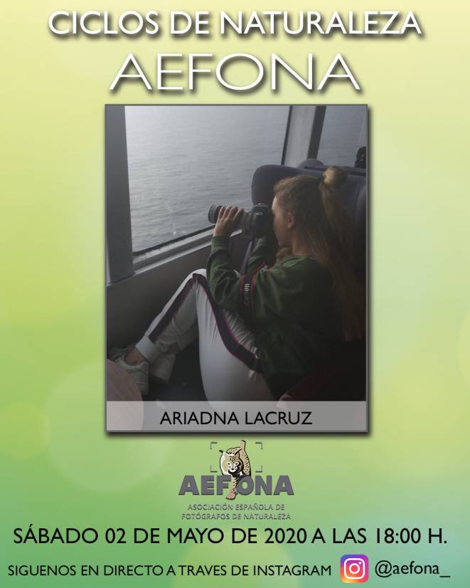 cartel-redes-ariadna-lacruz