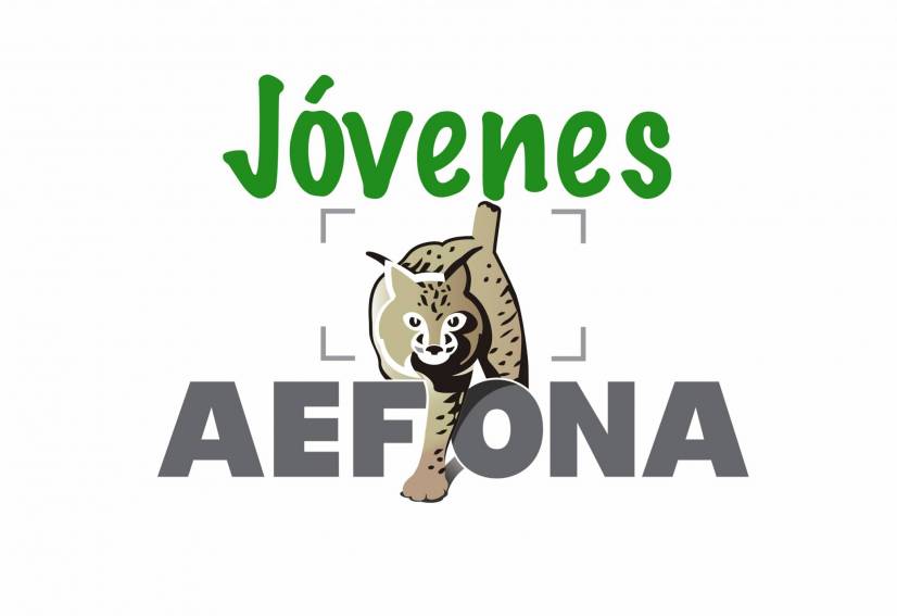 LOGO_AEFONA jovenes-Alta