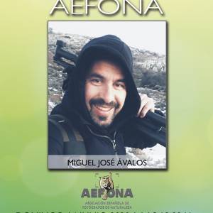 cartel-redes-miguel-jose-avalos