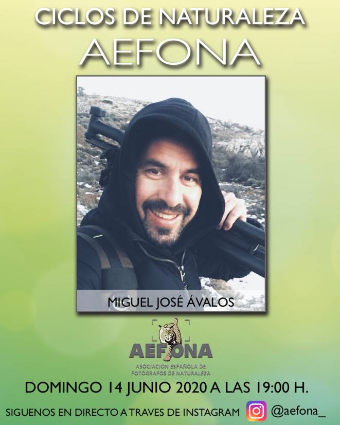 cartel-redes-miguel-jose-avalos