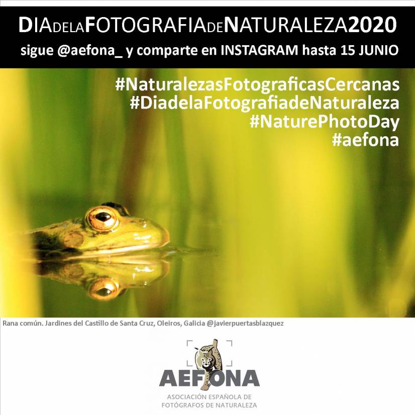 diadelafotografiadenatualeza2020-aefona