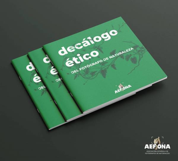 decalogo-libreto