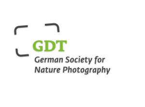 logo GDT