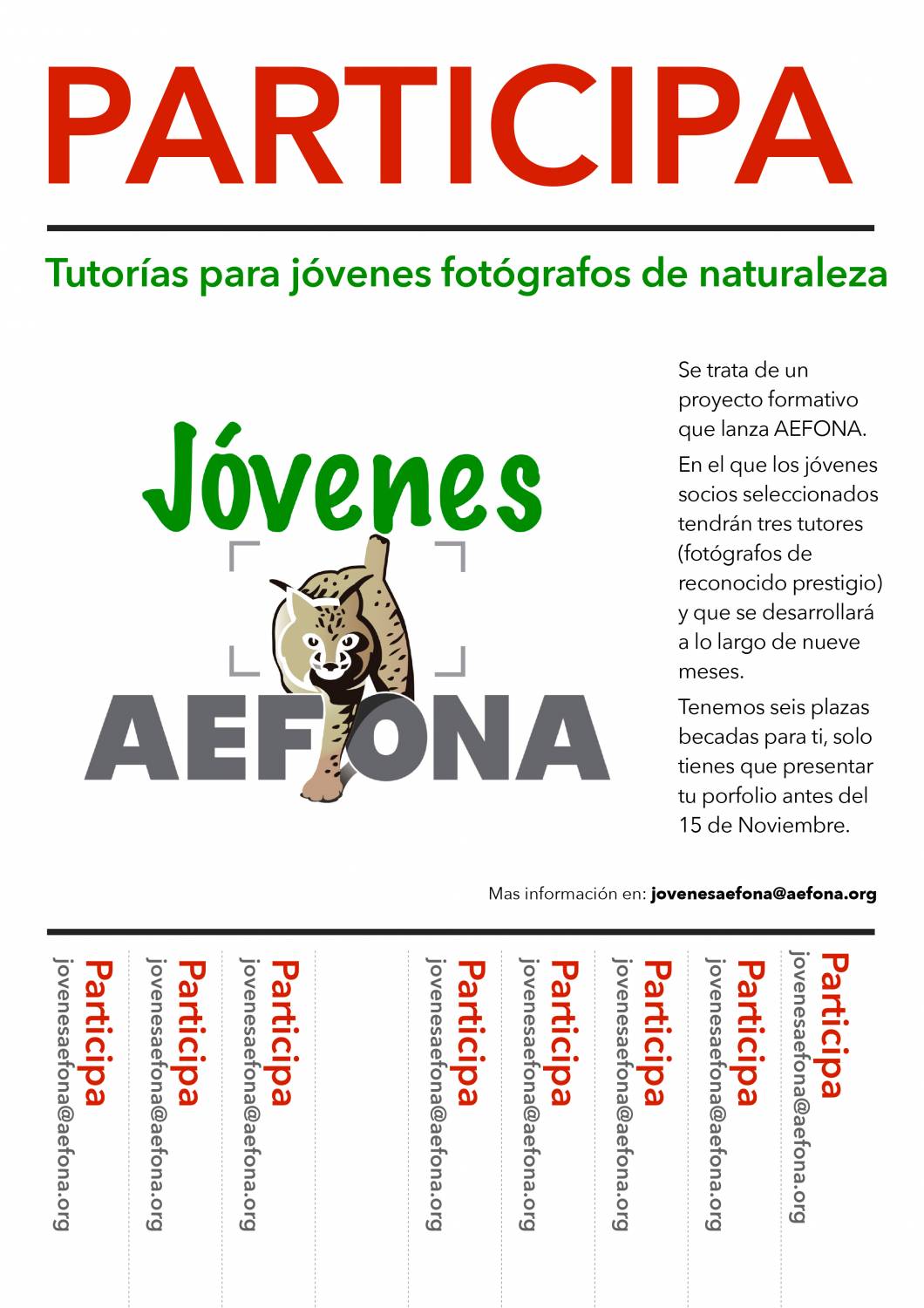 poster-tutorias