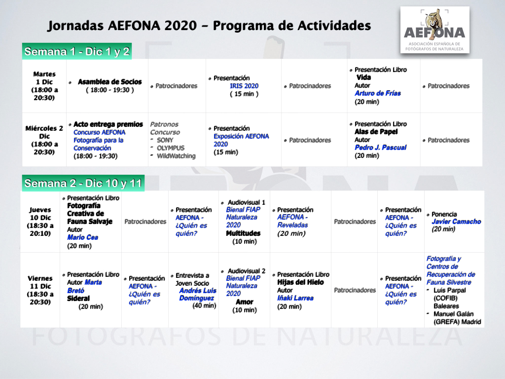 programa-jornadas-aefona-2020-001-1