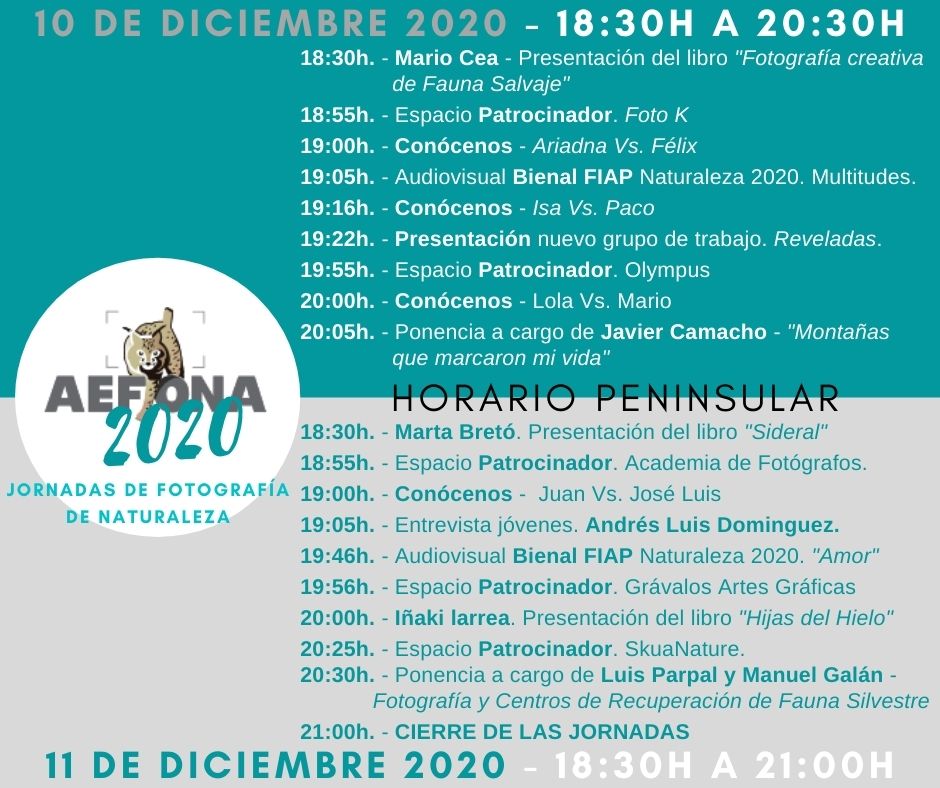 aefona-2020-carteljornadas-facebook-copia-1