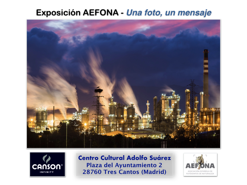 Expo AEFONA 2020_Cartel Redes_2.001