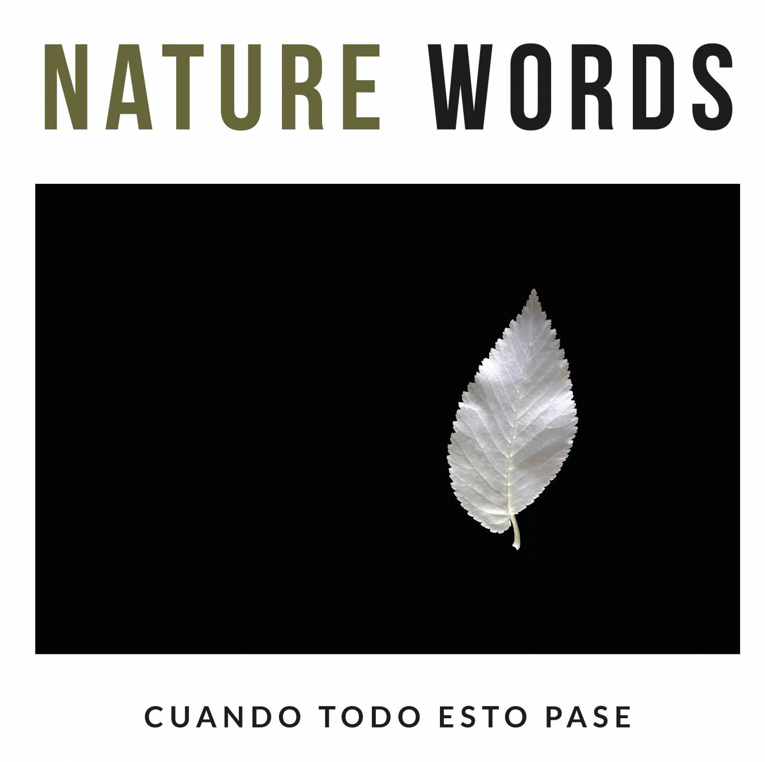 naturewords-2-captura-de-pantalla-2020-11-29-a-las-12-15-44