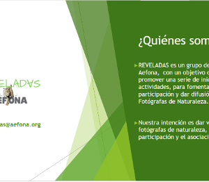 reveladas-quienes-somos